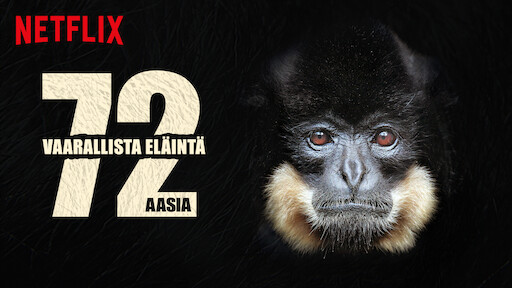 musta tranny porn.com