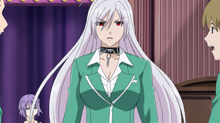 rosario vampire anime fanservice