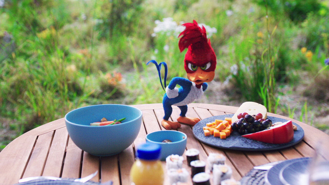 Watch Woody Woodpecker Netflix Watch Woody Woodpecker Netflix
