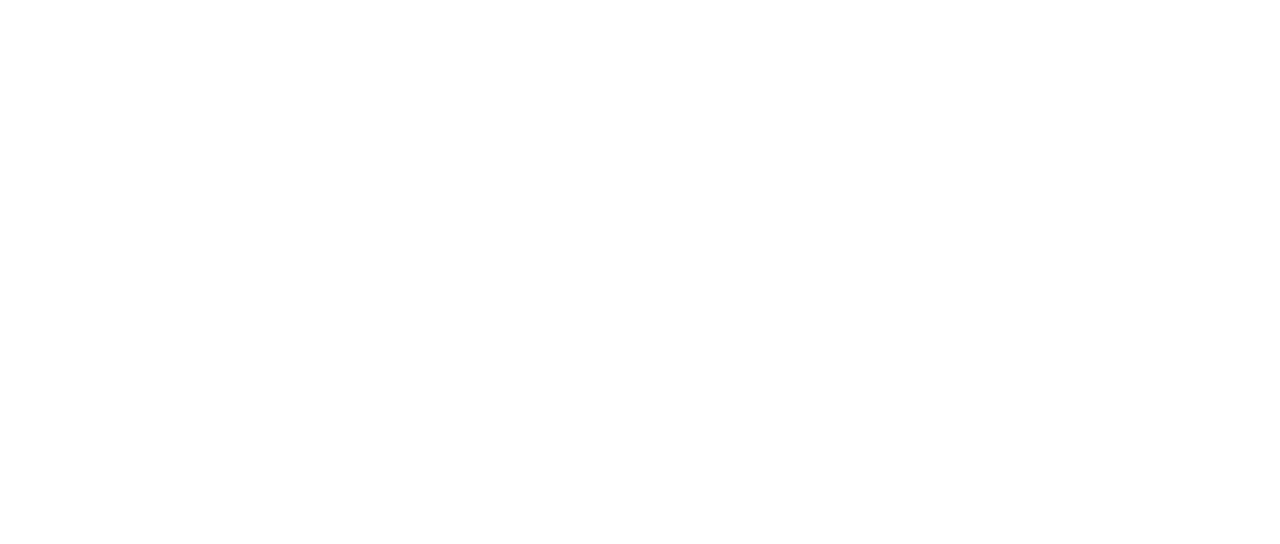 stardust stardust