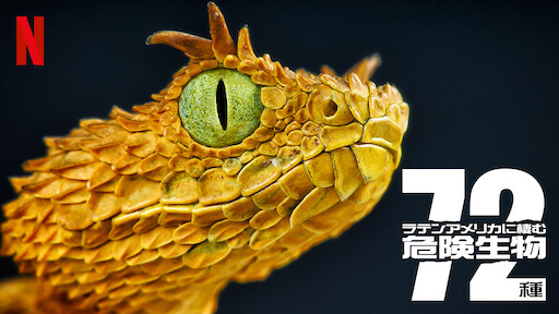 こころ をダイジェスト Netflix ネ ッ ト フ リ ッ ク ス 公 式サ イ ト