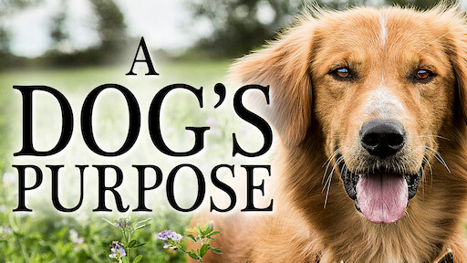 a dogs purpose movie online a dogs purpose movie online